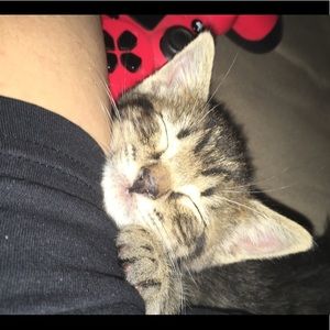 Meet your Posher, Cody